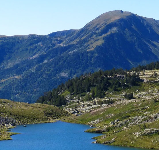 2018年金球奖该不该给c罗