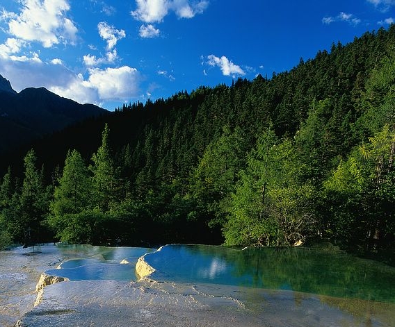 江苏青少年科技中心工作