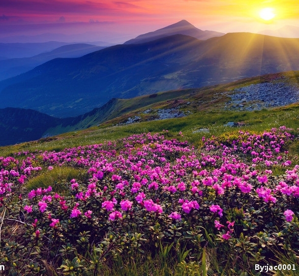 重庆工程职业技术学院简介