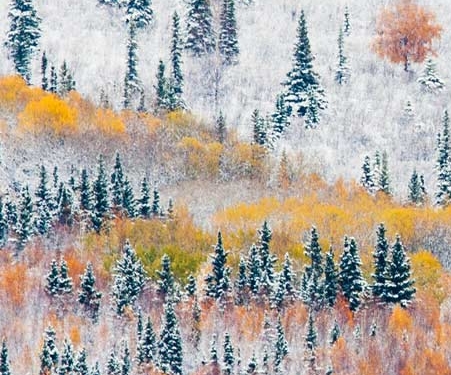 怪物猎人世界散弹3有几颗子弹