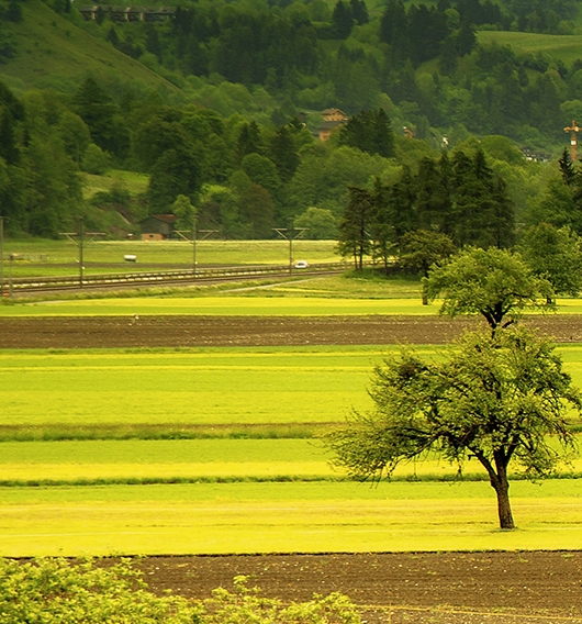 易瓦特科技股份公司中标信息