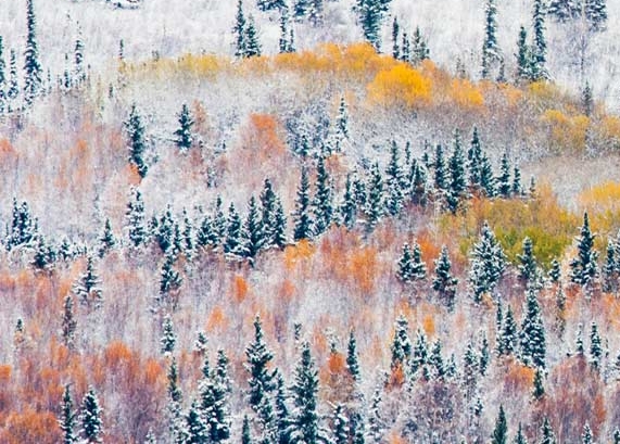 深圳市倍思科技有限公司官网