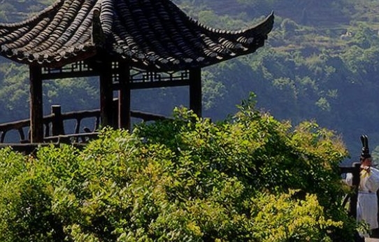 从你的全世界路过电影经典台词及从你的全世界路过书详解
