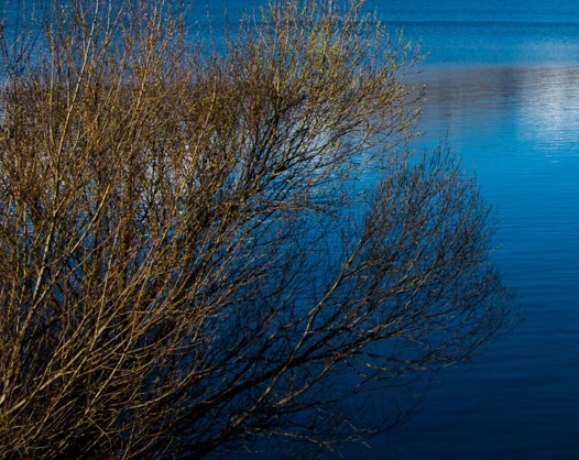 全世界地震500万次有感地震