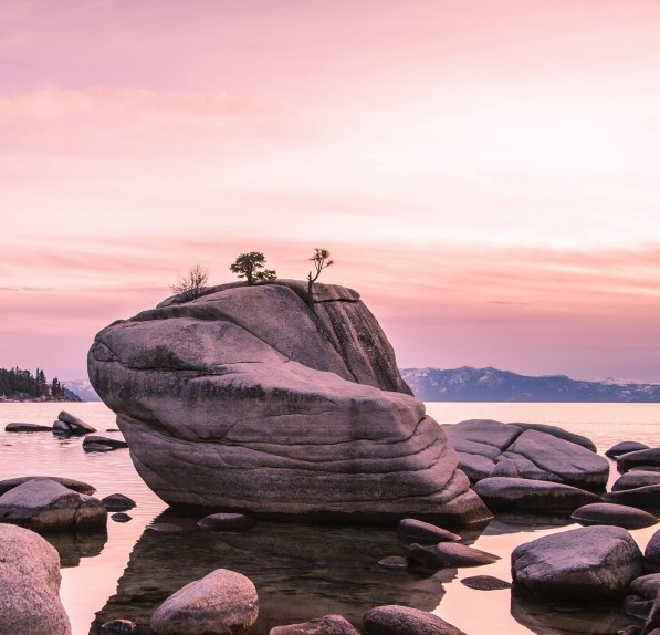 青岛科技大学中外合作办学