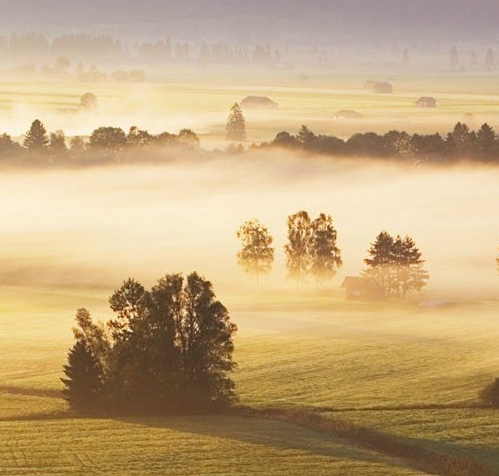 刘翔打破男子110米栏世界纪录