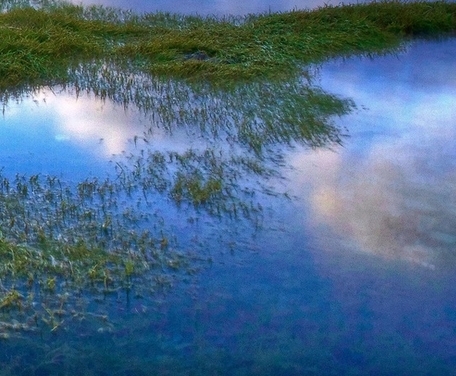 迷你世界会下架吗官方回答2021