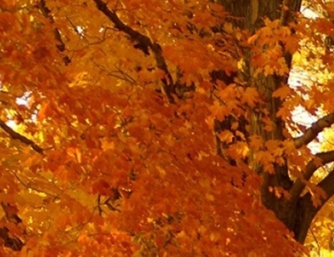 国外活动创意网站