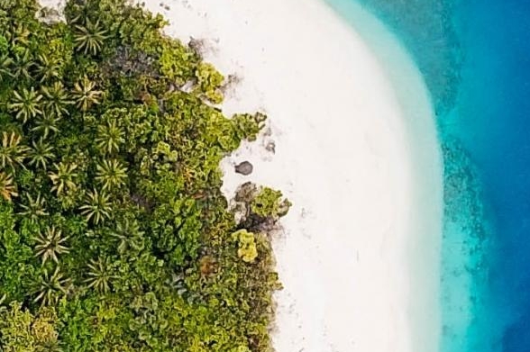 聆听世界:聆听世界：探索声音的奇妙之旅