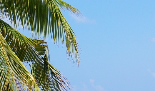 科技给我们带来的好处