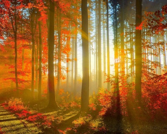 北京新时空科技股份有限公司