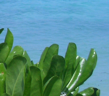 湖北汉鑫