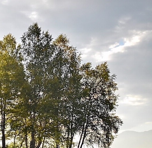 辰芯科技有限公司上班怎么样