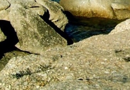 中国世界名模单眼皮