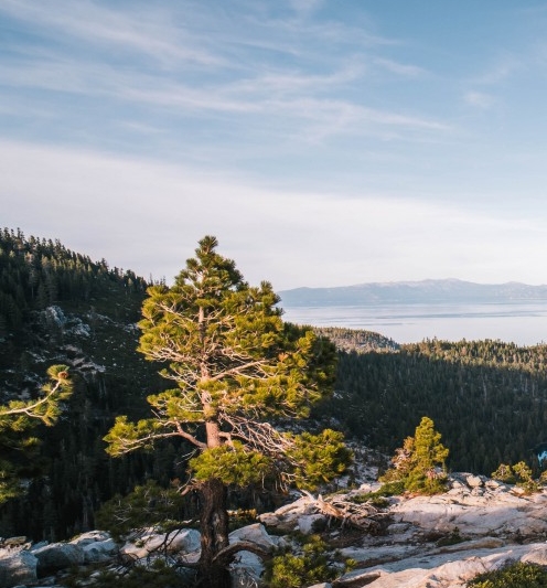 北京新世界百货几点开门