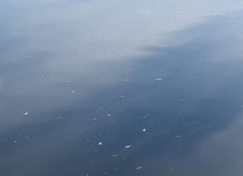 电子科技大学研究院