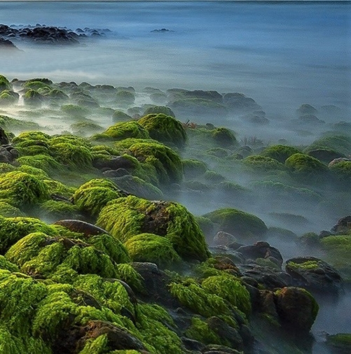 世界上粉丝最多的人前十名