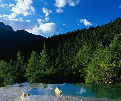 国外教师节创意活动