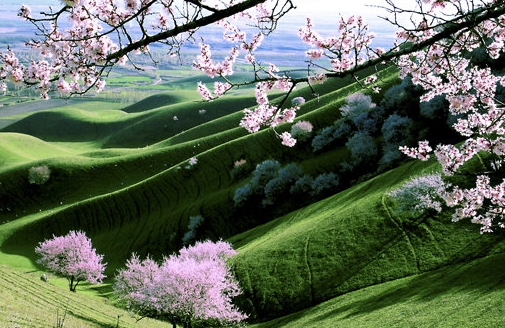 北京十大最好国际学校