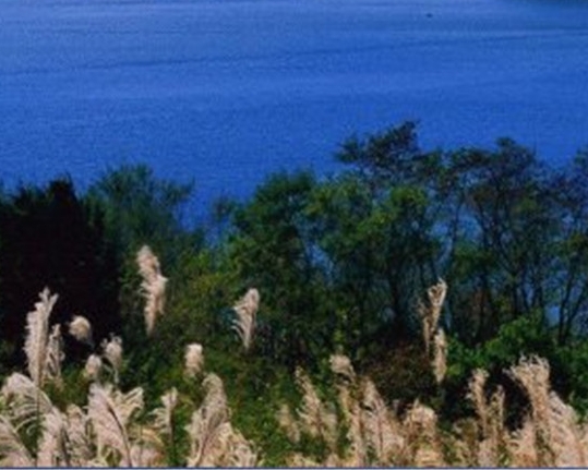 黑龙江科技职业学校都有什么专业