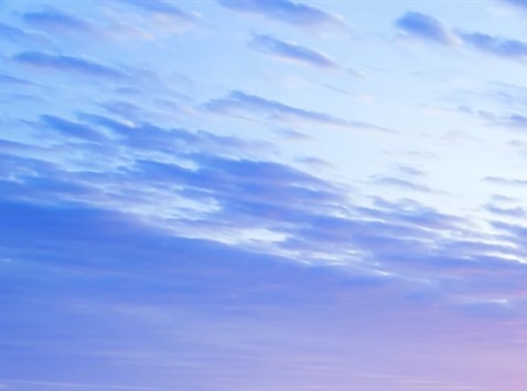 怪猎世界上龙骨在哪