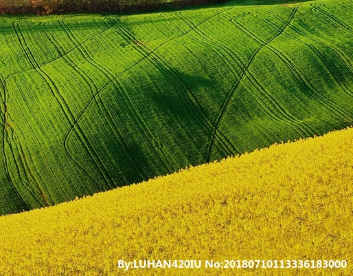 世界土地排行:2020年世界土地排行榜：全球国家土地面积大比拼！