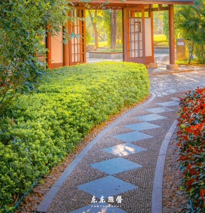 美丽心灵女主是间谍吗