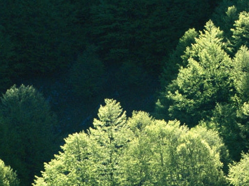 苏州大禹网络科技有限公司电话