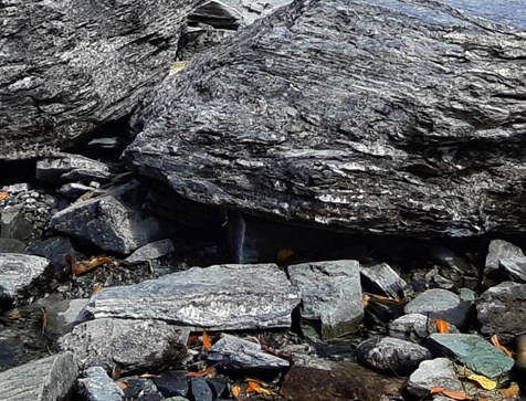 环境科学专业世界大学排名