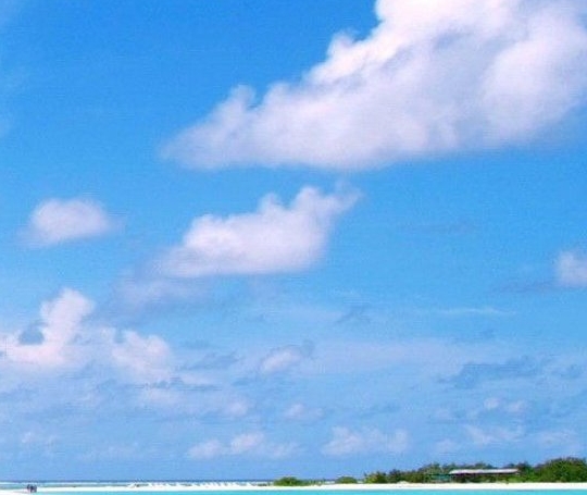 安徽文康企业管理有限公司