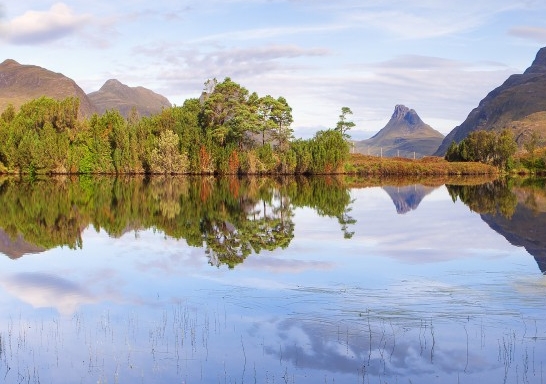 僵尸世界大战 国语百度网盘