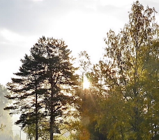 鹏力科技集团有限公司吸管厂