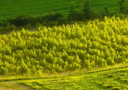开封商丘学院应用科技学院官网