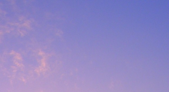 中国最后一只神兽