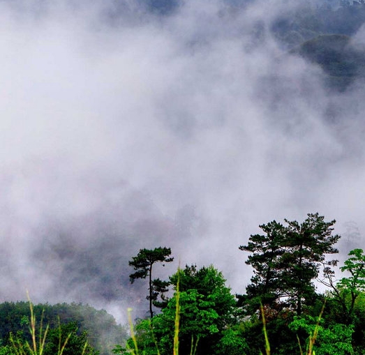 一花依世界歌词方言版