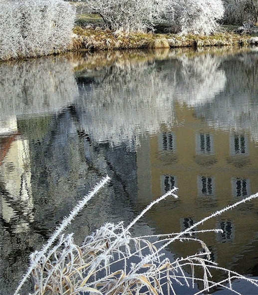 异世界魔法师西夫诺manwa漫画