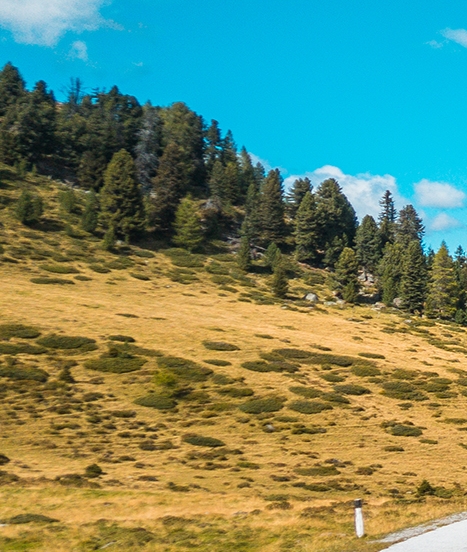 宝信科技是外包吗