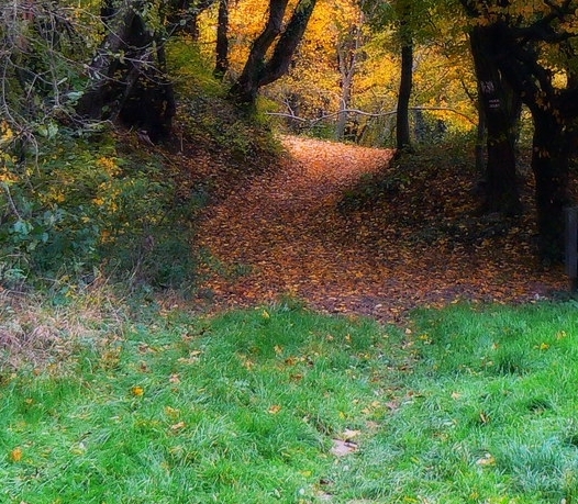 迷你世界小迷和兔美美