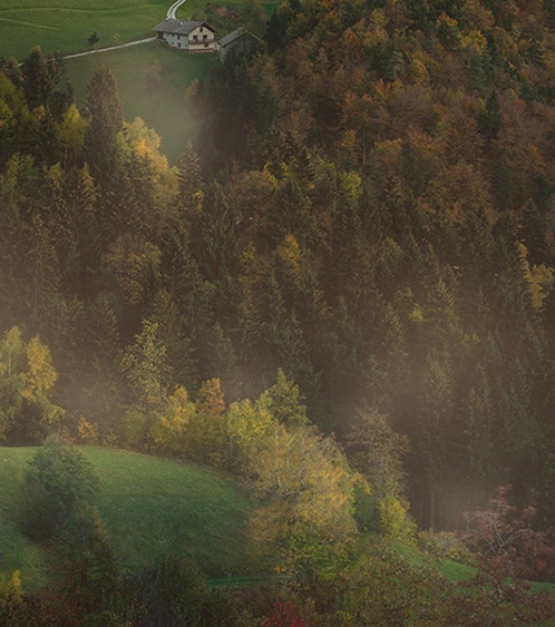 情感的禁区电影在线观看国语