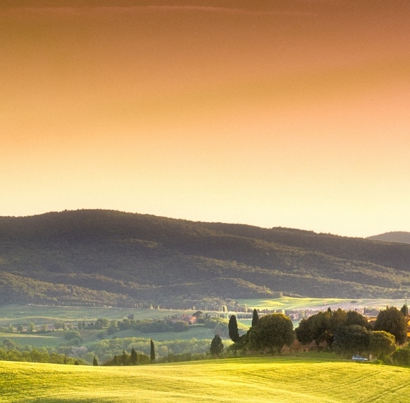 顺网科技官网网吧余额查