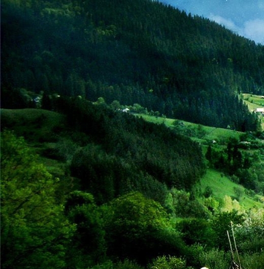 奇迹世界2战士怎么加点