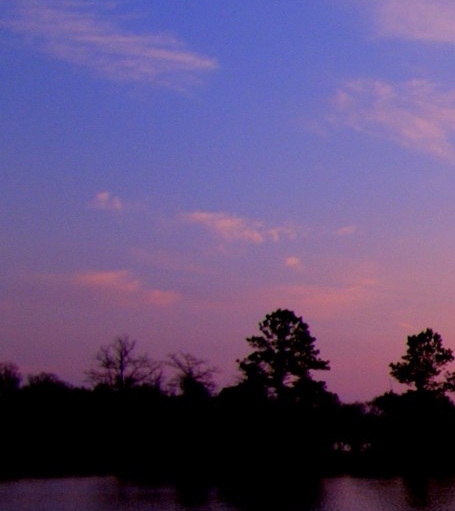 魔兽世界阿洛迪是谁