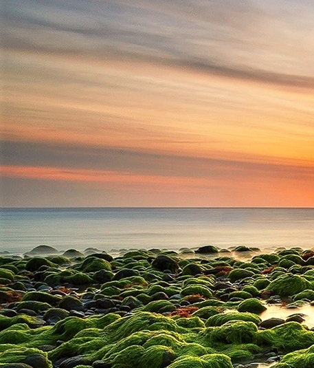 北京必互科技有限公司杨欢简历