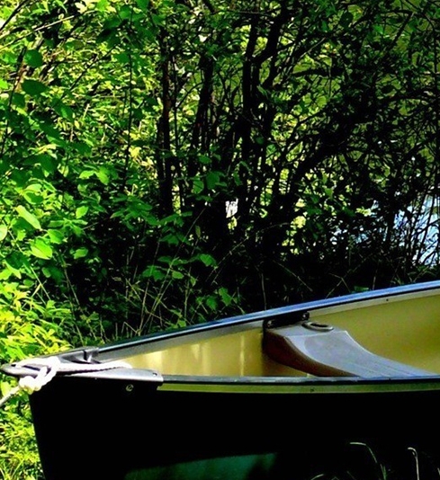 广州百果园杨军科技有限公司