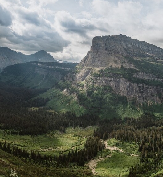 巴西足球杯主题曲