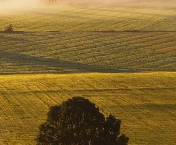 青岛极地海洋世界在哪里