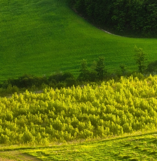 世界上最大的瀑布是什么铺