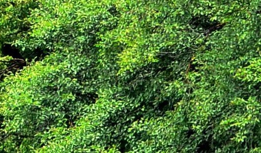 创意简报:创意简报：灵感激发，助你成就无限可能！