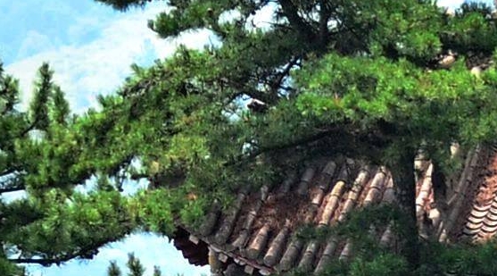 四级英语核心词汇2000电子版