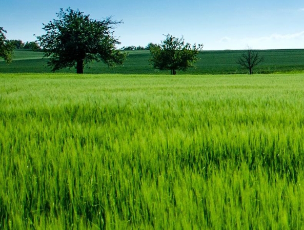 铅球世界纪录是多少公斤